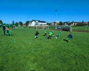 IMG-20250428-WA0017